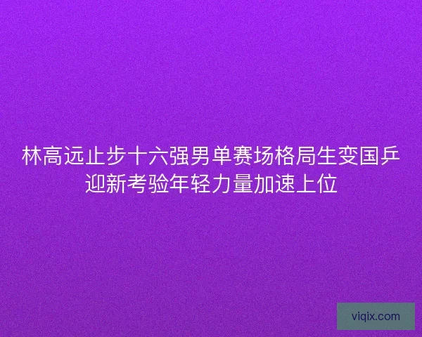 林高远止步十六强男单赛场格局生变国乒迎新考验年轻力量加速上位 林高远止步十六强男单赛场格局生变国乒迎新考验年轻力量加速上位